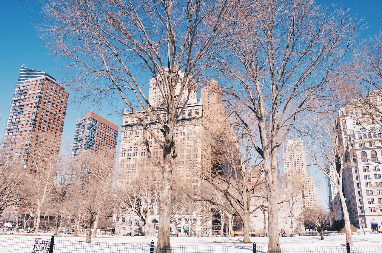 things to do in nyc in the winter